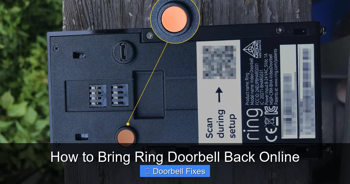 How to Bring Ring Doorbell Back Online