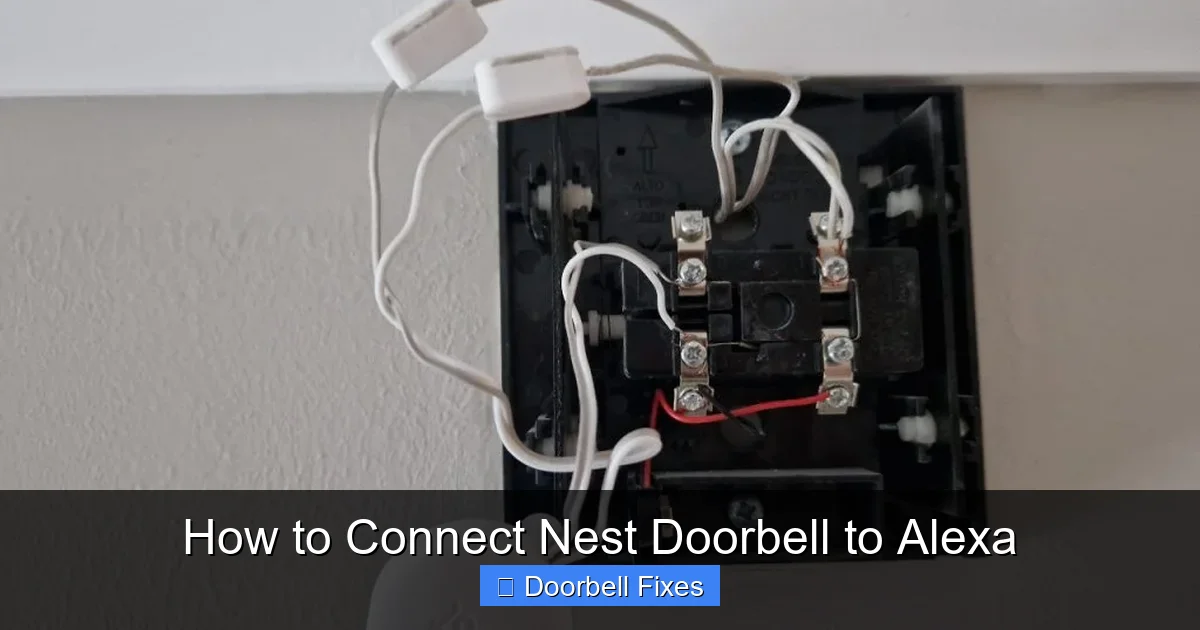 How to Connect Nest Doorbell to Alexa