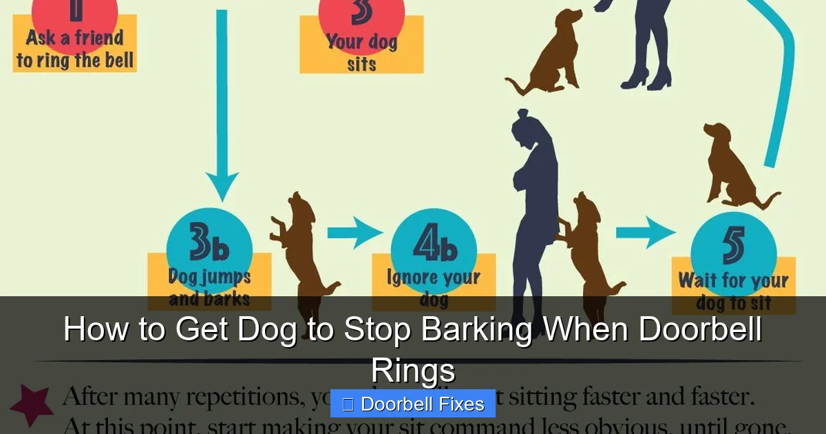 How to Get Dog to Stop Barking When Doorbell Rings