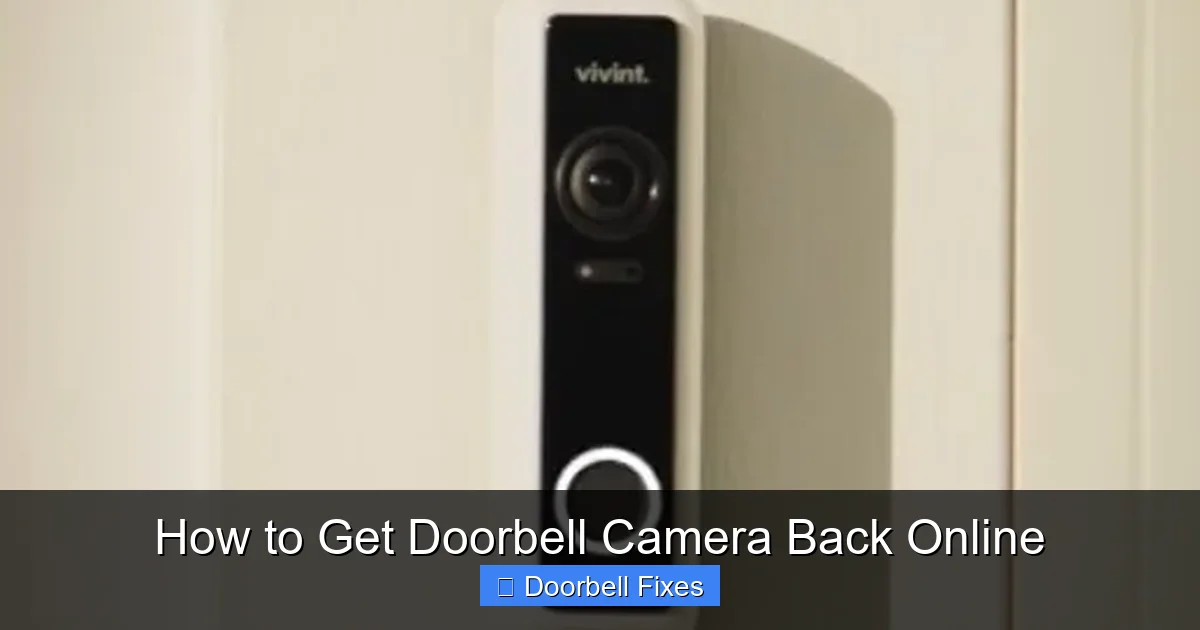 How to Get Doorbell Camera Back Online