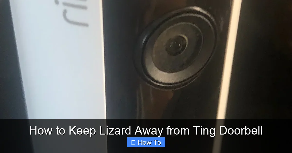 How to Keep Lizard Away from Ting Doorbell