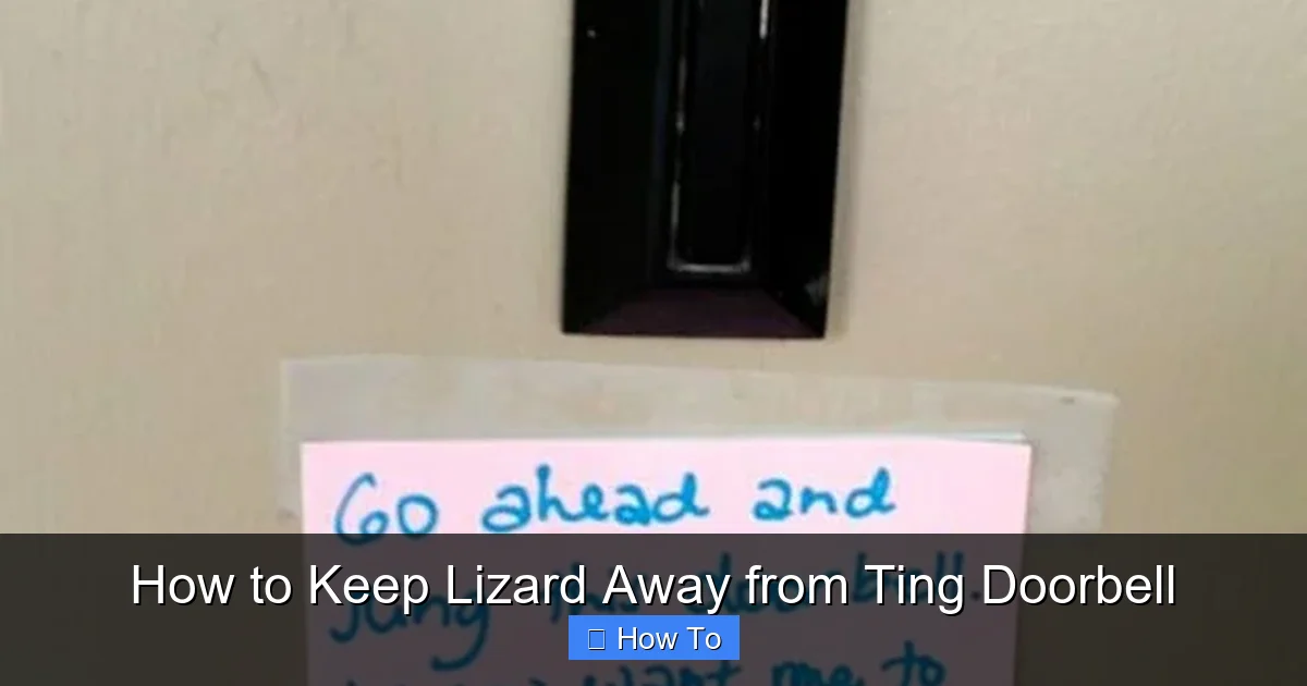 How to Keep Lizard Away from Ting Doorbell