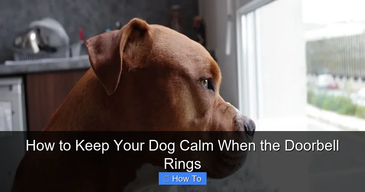 How to Keep Your Dog Calm When the Doorbell Rings