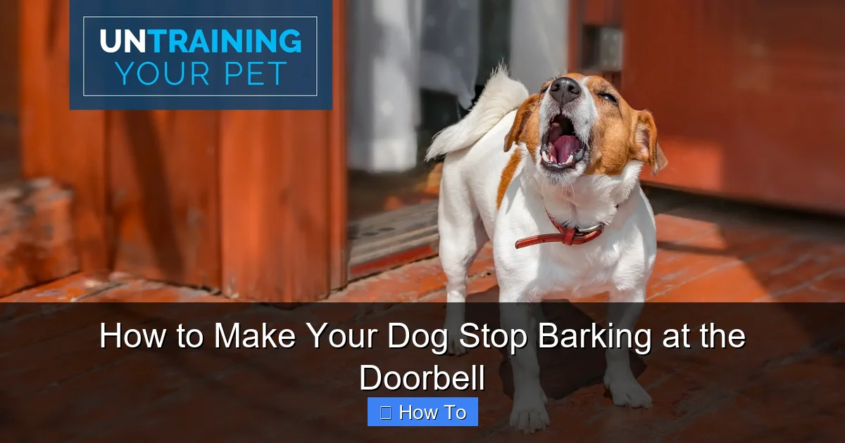 How to Make Your Dog Stop Barking at the Doorbell
