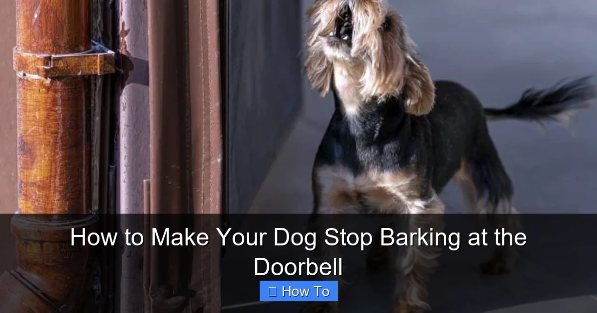 How to Make Your Dog Stop Barking at the Doorbell